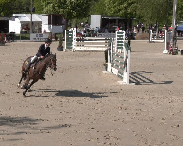Reitturnier Olfen 2025