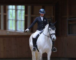 dressage horse Tara 357 (polish noble half-breed, 2017)