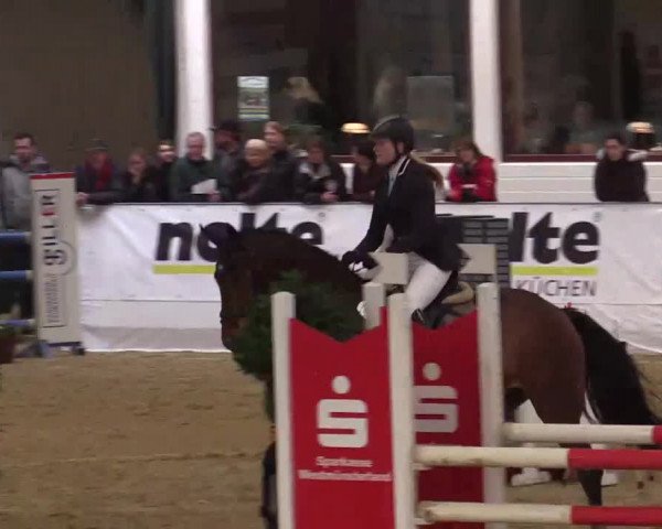 Hallenspringturnier in Borken 2014