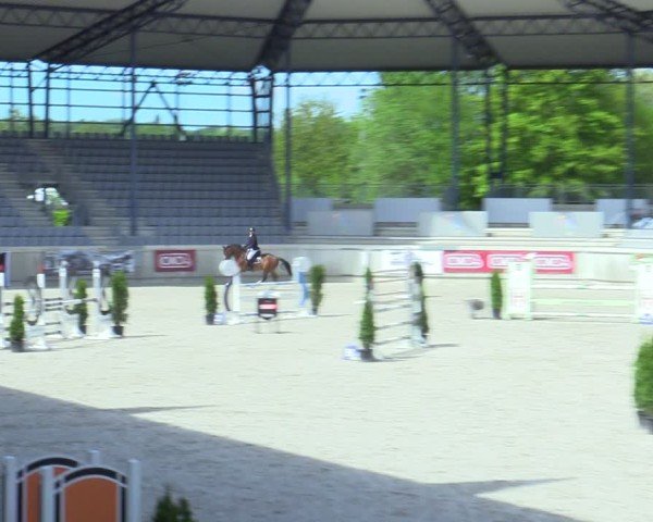 Reitturnier Aachen 2025