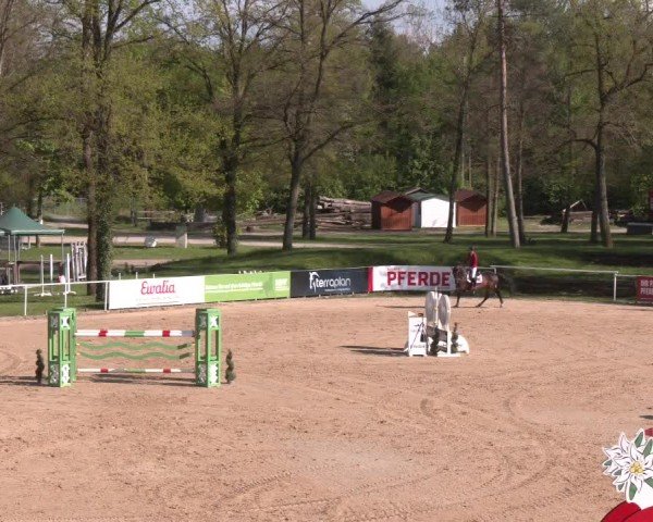 Internationales Springturnier Stadl-Paura 2025