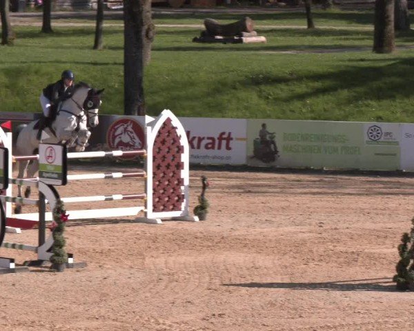 Internationales Springturnier Stadl-Paura 2025