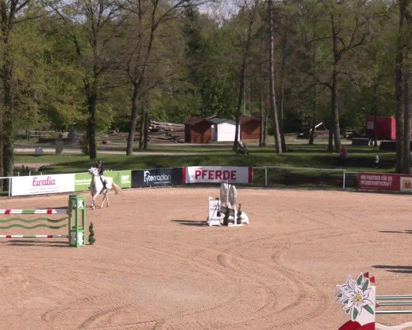 Internationales Springturnier Stadl-Paura 2025