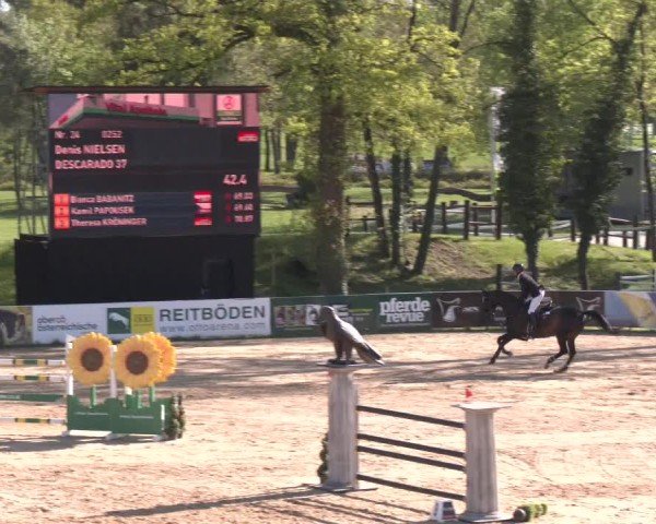Internationales Springturnier Stadl-Paura 2025