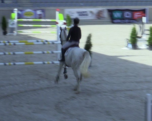 Reitturnier Aachen 2025