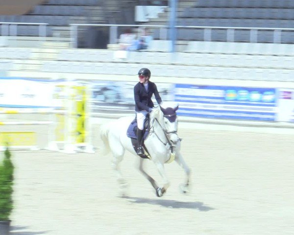 Reitturnier Aachen 2025