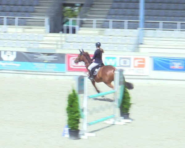 Reitturnier Aachen 2025