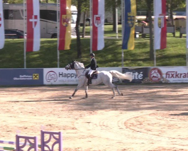 Internationales Springturnier Stadl-Paura 2025