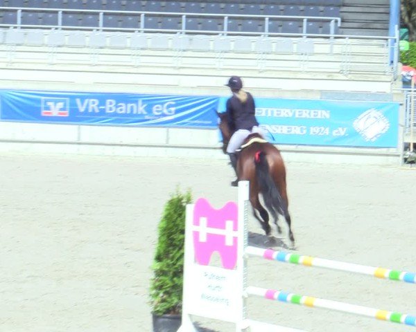 Reitturnier Aachen 2025