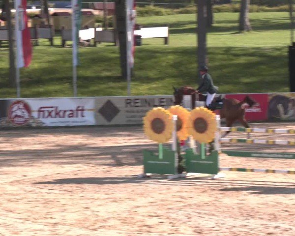 Internationales Springturnier Stadl-Paura 2025
