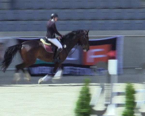 Reitturnier Aachen 2025