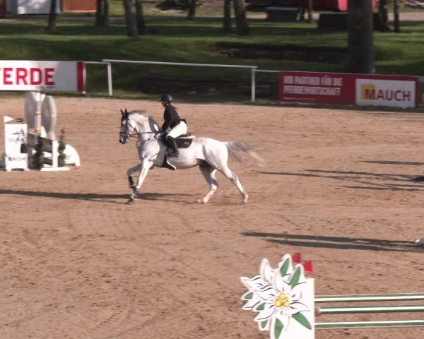 Internationales Springturnier Stadl-Paura 2025