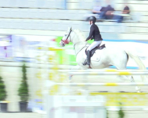 Reitturnier Aachen 2025