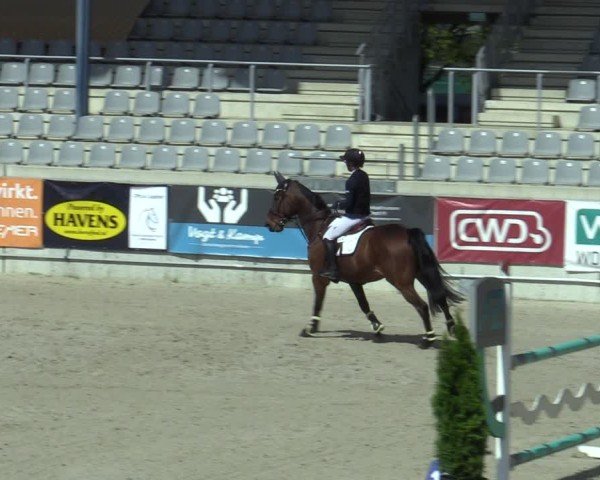 Reitturnier Aachen 2025