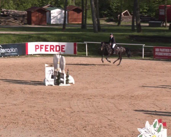 Internationales Springturnier Stadl-Paura 2025