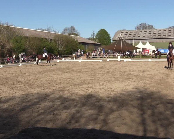 Reitturnier Kleinsolter Turniertage 2025