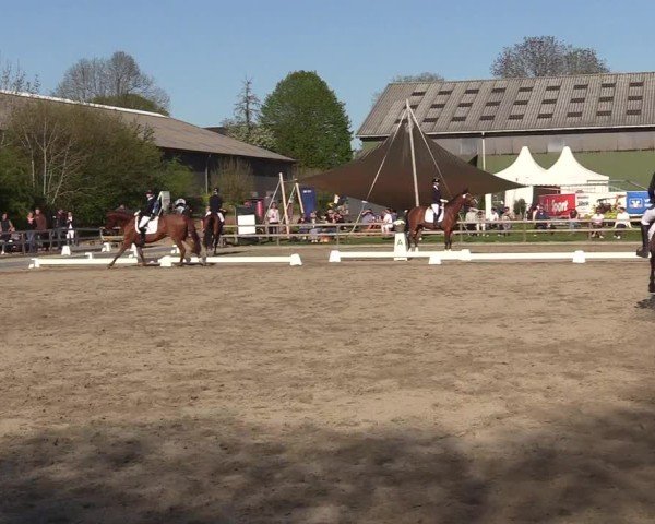 Reitturnier Kleinsolter Turniertage 2025