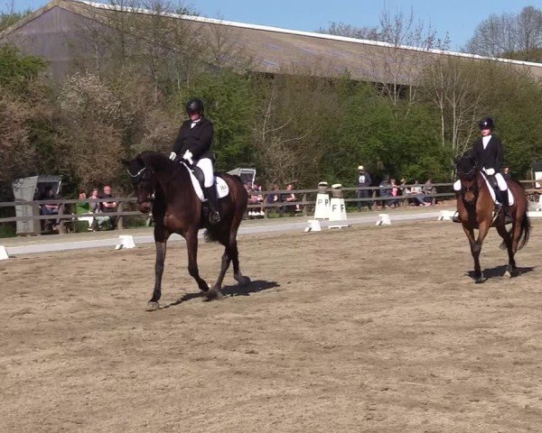 Reitturnier Kleinsolter Turniertage 2025