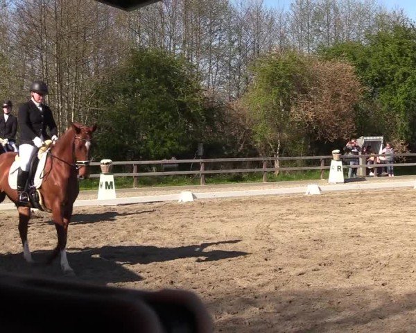 Reitturnier Kleinsolter Turniertage 2025