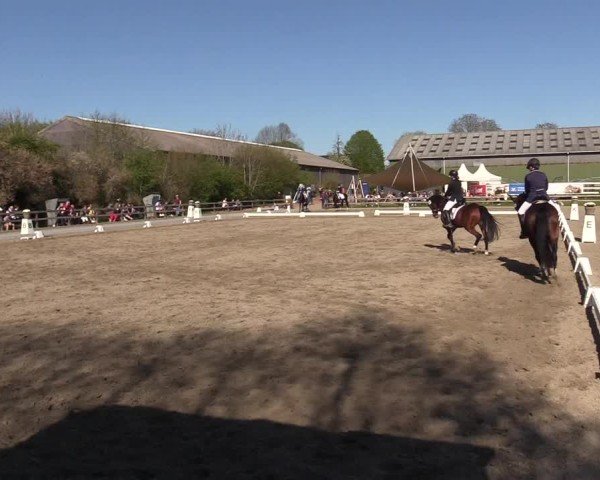 Reitturnier Kleinsolter Turniertage 2025