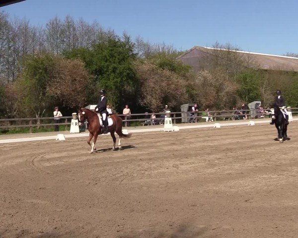 Reitturnier Kleinsolter Turniertage 2025