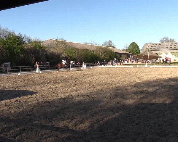 Reitturnier Kleinsolter Turniertage 2025