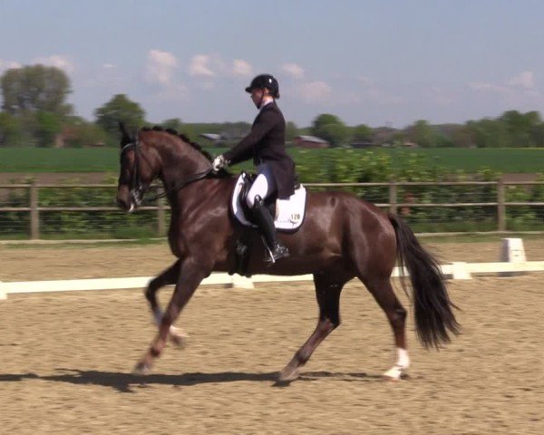 Reitturnier Warendorf, Reitstall am Rothenbach 2025