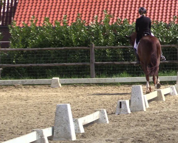 Reitturnier Warendorf, Reitstall am Rothenbach 2025