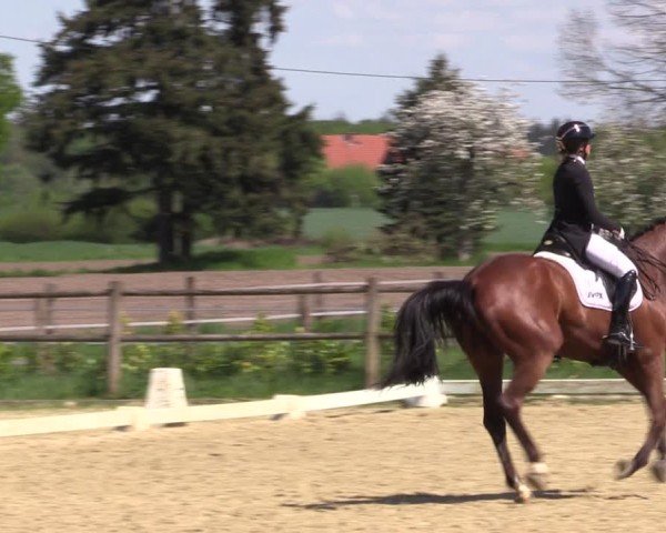 Reitturnier Warendorf, Reitstall am Rothenbach 2025