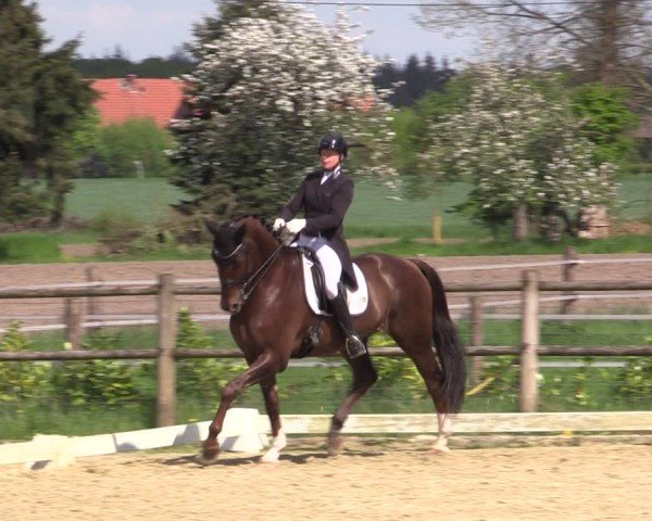 Reitturnier Warendorf, Reitstall am Rothenbach 2025