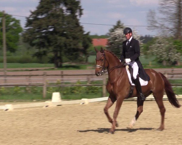 Reitturnier Warendorf, Reitstall am Rothenbach 2025
