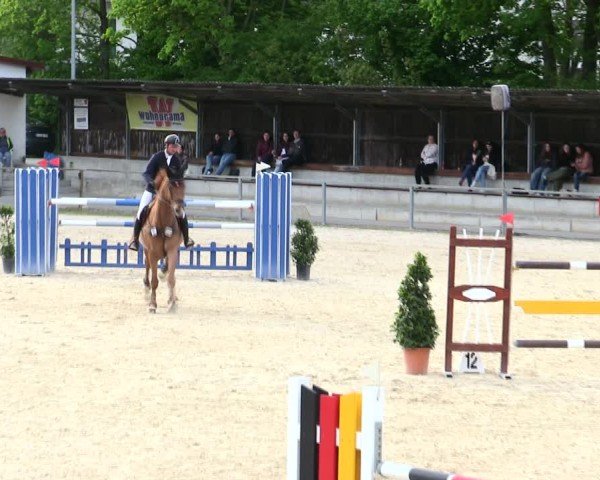 Reitturnier Ingolstadt-Hagau/Obb. 2025