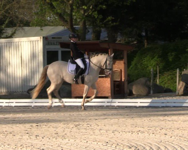 Reitturnier Pietzpuhl 2025