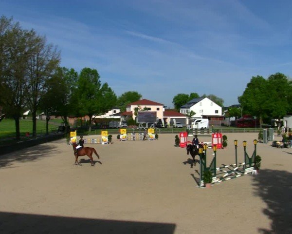 Reitturnier Ingolstadt-Hagau/Obb. 2025
