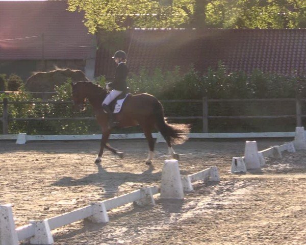 Reitturnier Warendorf, Reitstall am Rothenbach 2025