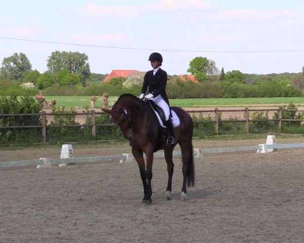 Reitturnier Warendorf, Reitstall am Rothenbach 2025