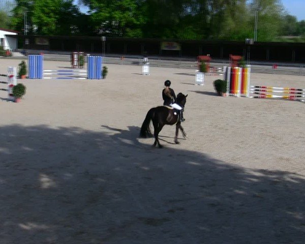 Reitturnier Ingolstadt-Hagau/Obb. 2025