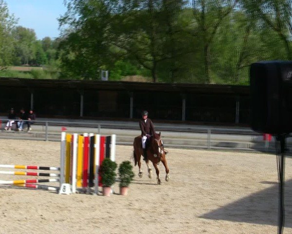 Reitturnier Ingolstadt-Hagau/Obb. 2025