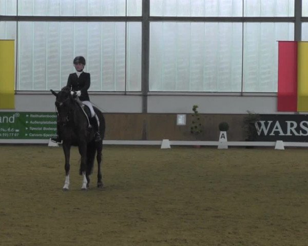 Dressurturnier IGD Vechta 2014