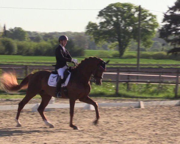 Reitturnier Warendorf, Reitstall am Rothenbach 2025