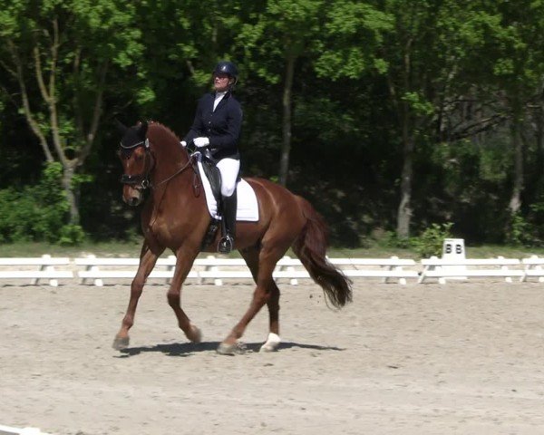 Reitturnier Pietzpuhl 2025