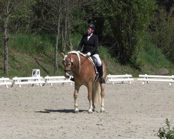 Reitturnier Pietzpuhl 2025