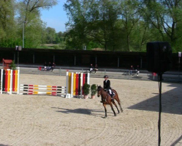 Reitturnier Ingolstadt-Hagau/Obb. 2025