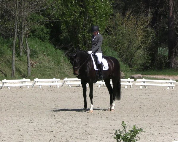 Reitturnier Pietzpuhl 2025