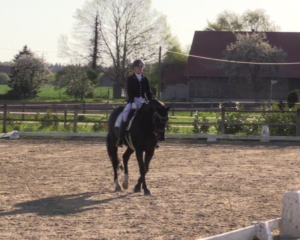 Reitturnier Warendorf, Reitstall am Rothenbach 2025