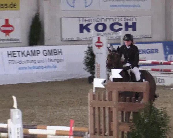 Hallenspringturnier in Borken 2014