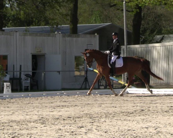 Reitturnier Pietzpuhl 2025