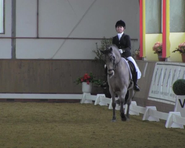 Dressurturnier IGD Vechta 2014