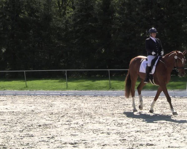 Reitturnier Pietzpuhl 2025