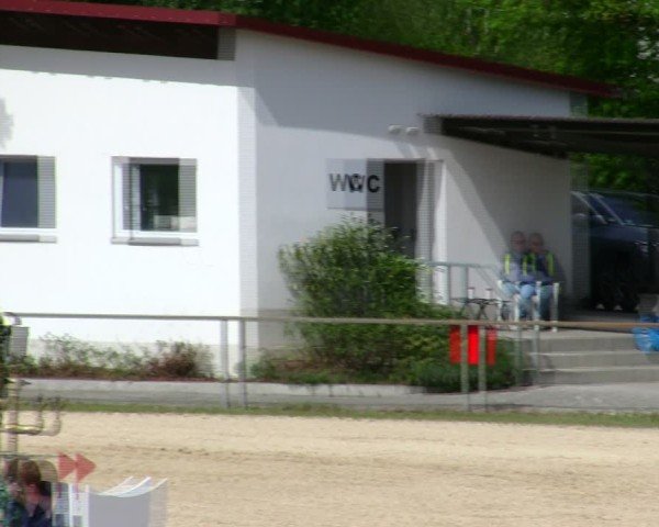 Reitturnier Ingolstadt-Hagau/Obb. 2025